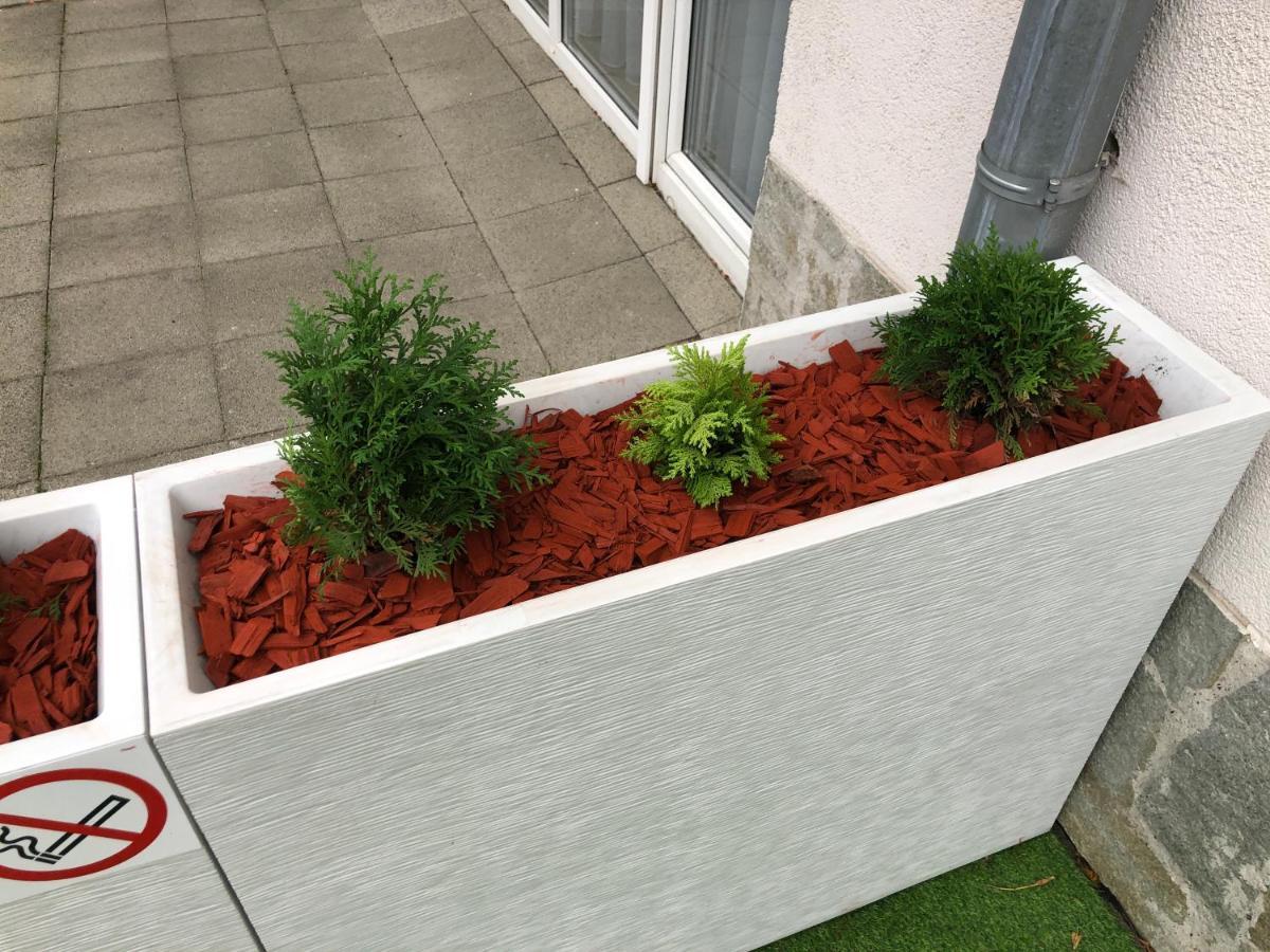 Apartament Studio Czarna Gora II Sienna  Eksteriør billede